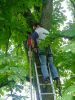 Filename=farfest_01.jpg
Filesize=229KiB
Dimensions=900x1200
Date added=Jun 22, 2010 farfest_01.jpg