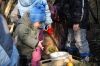 vienoce2013004.jpg