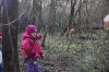 vienoce2013006.jpg