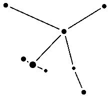 Aquila